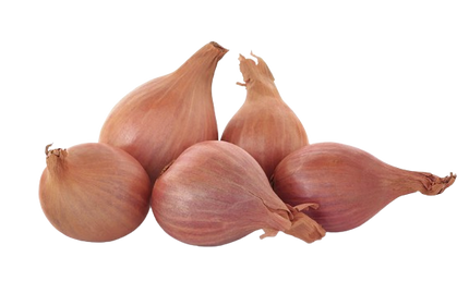 Shallot Onions 1lbs