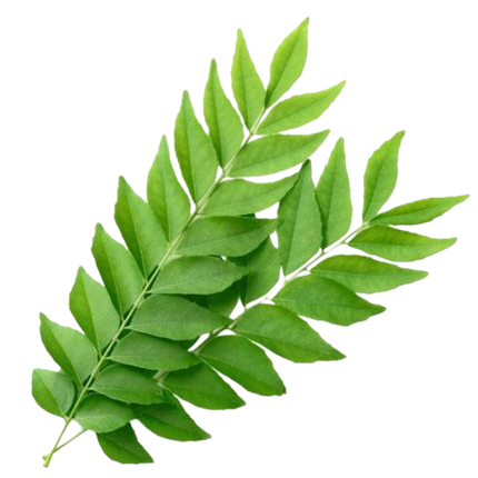Collection image for: Fresh Herbs