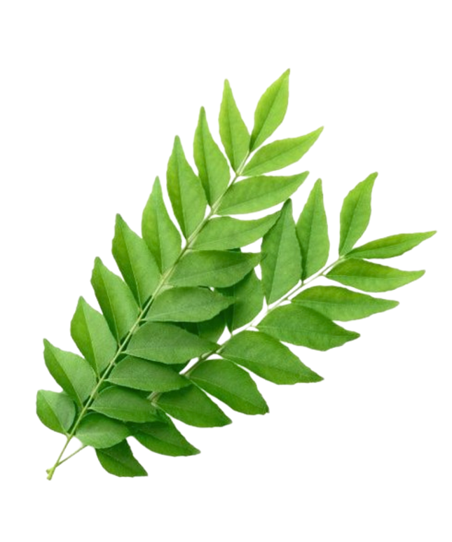 Curry Leaves Packet
