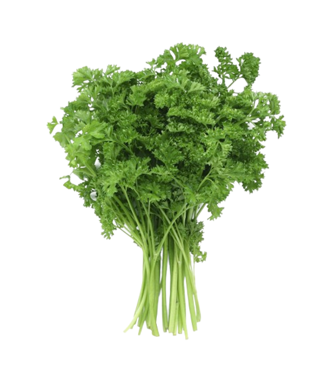 Fresh Parsley Bunch