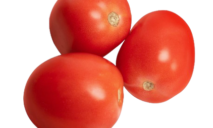 Roma Tomatoes Individual