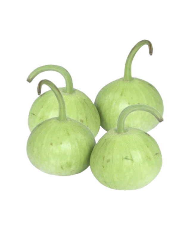Round Lauki/Dudhi individual