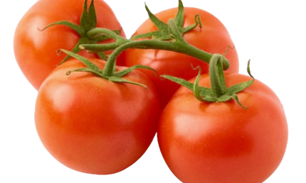 On The Vine Tomato 1lbs