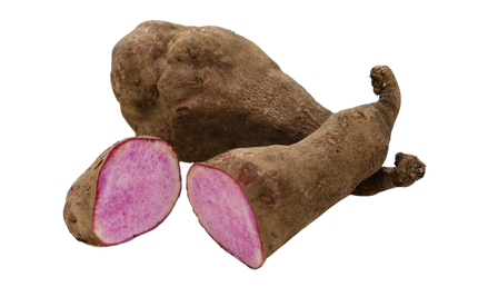 Purple Sweet Potato