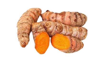 Yellow Turmeric Root