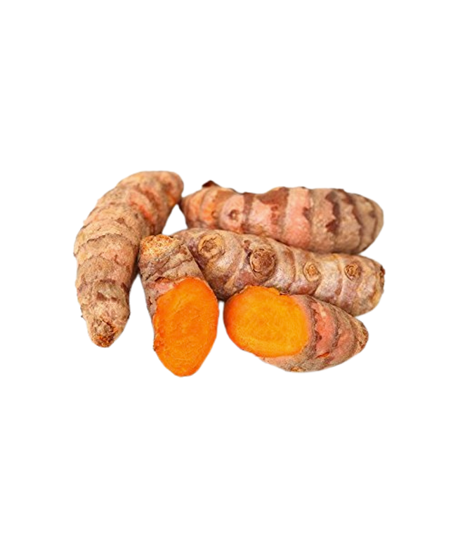 Yellow Turmeric Root