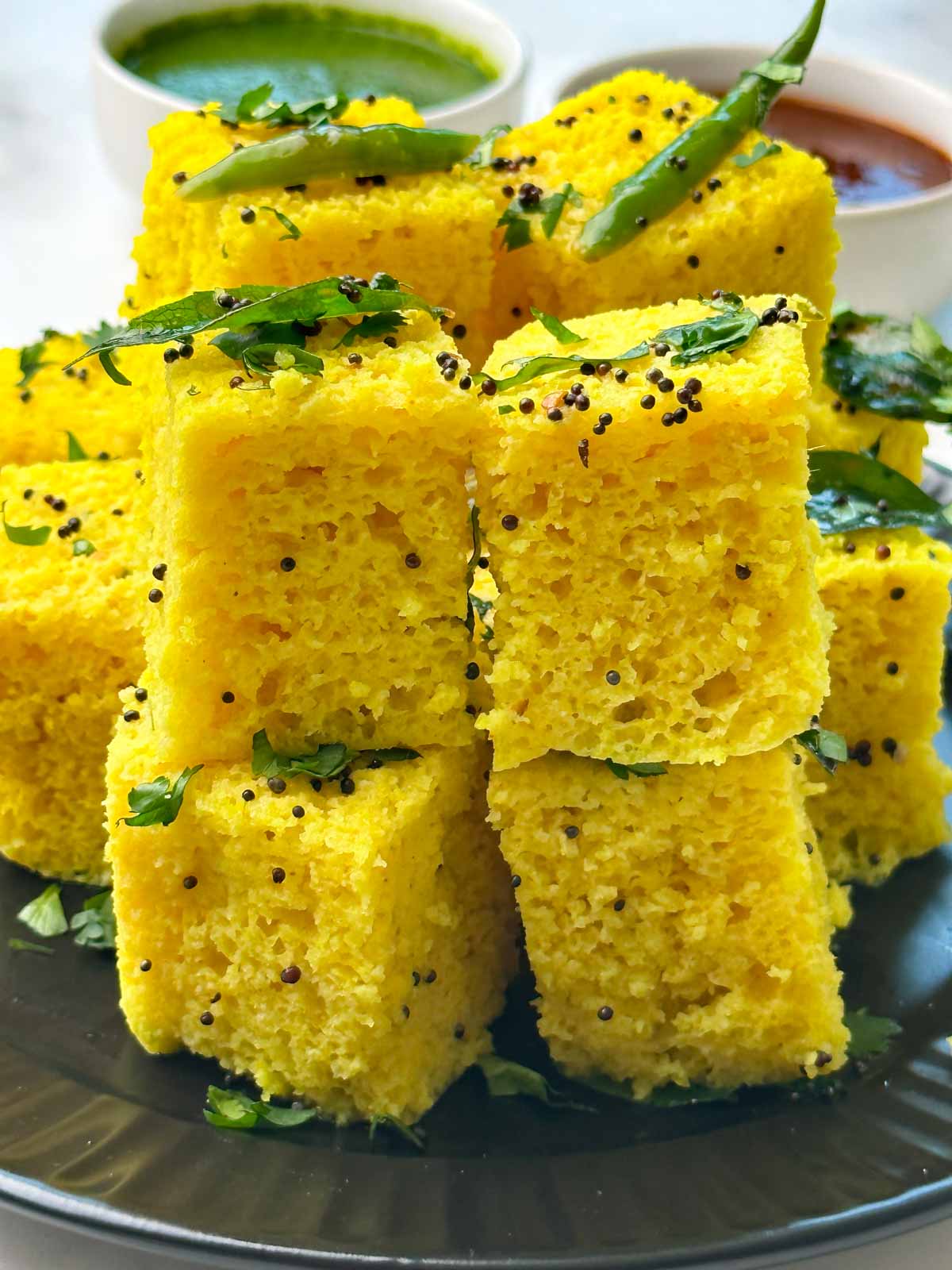 Khaman Dhokla Box